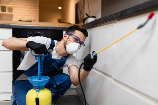 Professional Pest Control in Northern Cambria, PA