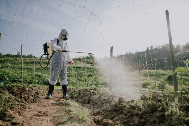 Best Pest Removal Services  in Northern Cambria, PA