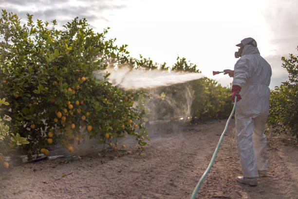 Best Residential Pest Control  in Northern Cambria, PA