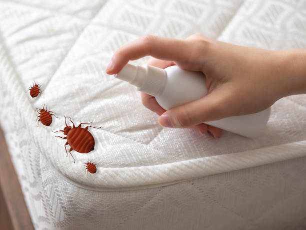 Best Pest Prevention Services  in Northern Cambria, PA