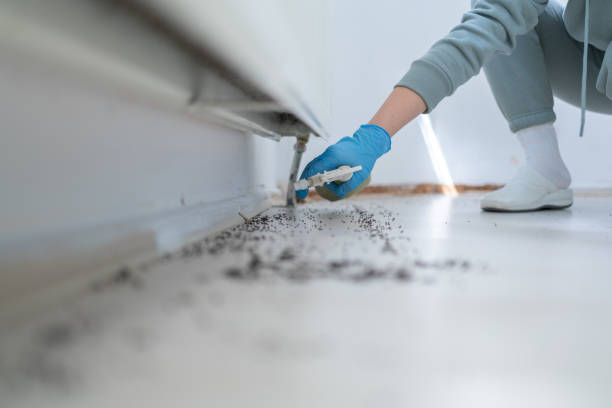 Best Pest Removal Services  in Northern Cambria, PA